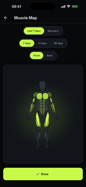ApexForm muscle map